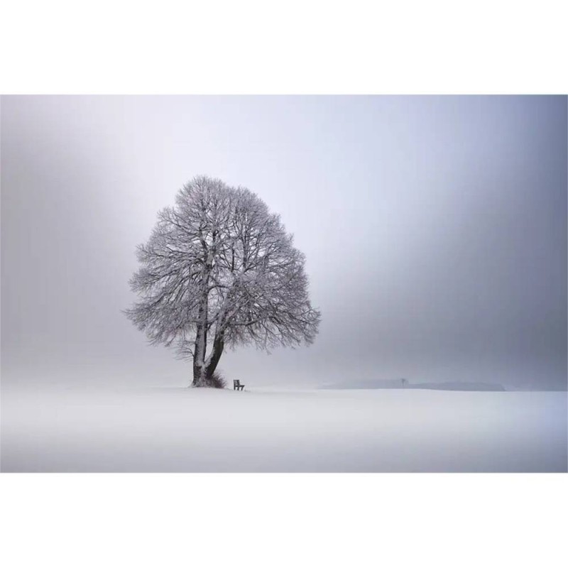 MARBURG | Winter Light